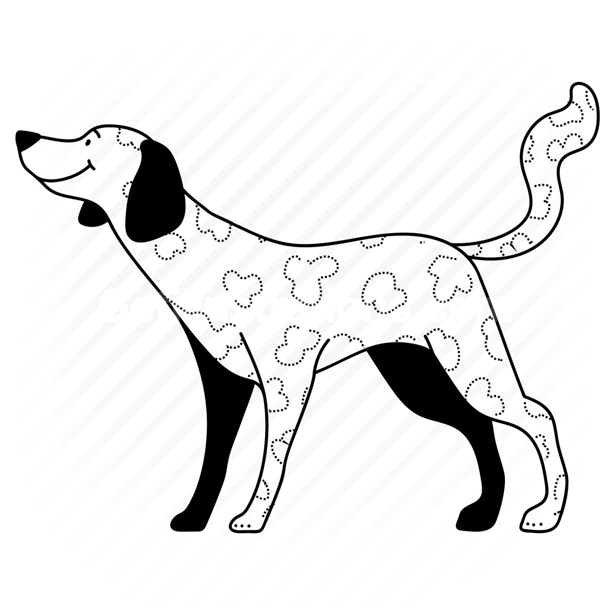 dalmation, dog, breed, canine, animal, wildlife, mammal, pet